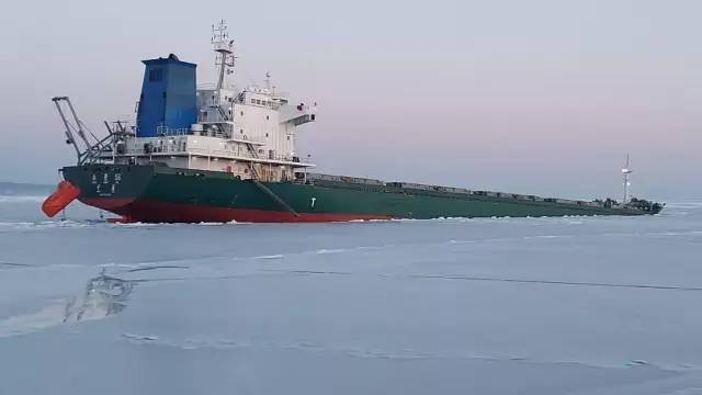 在鞑靼海峡沉没的中国干货船船员已经回国