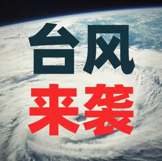 【台风】“竹节草”复生，将影响长三角地区！“罗莎”加速北上